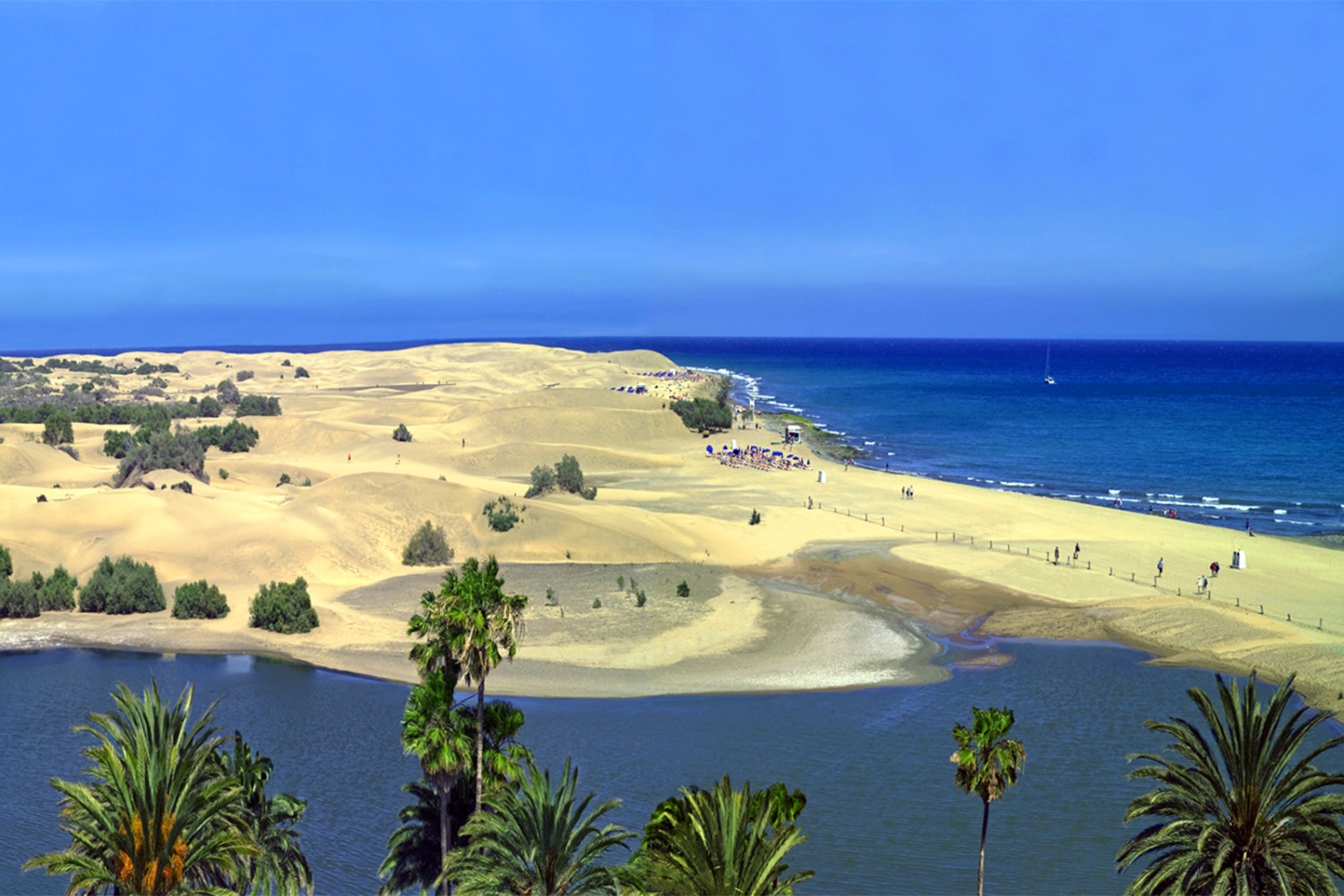 Dunas de Maspalomas. Gran Canaria. © Patronato de Turismo de Gran Canaria 