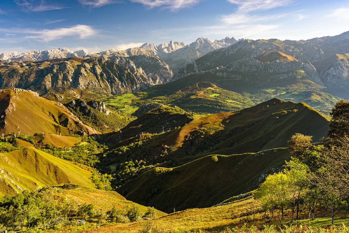 Picos de Europa desde la majada de Tebrandi. Asiego. 