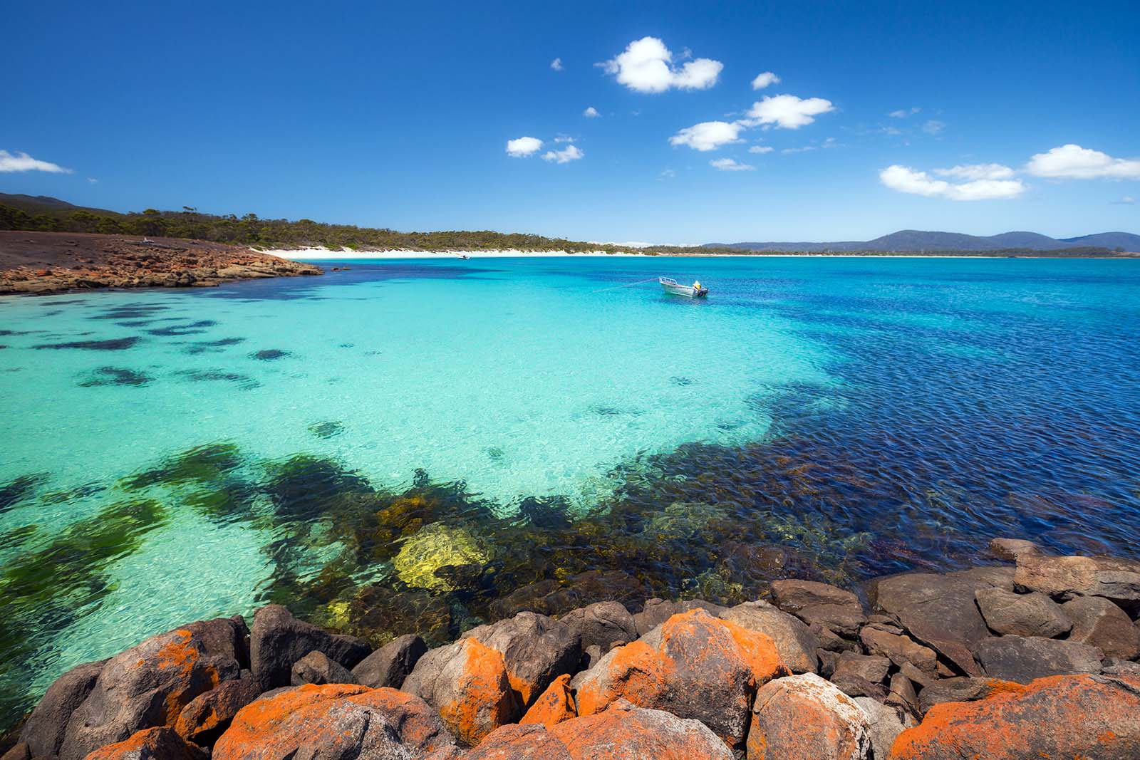 Fotografía: The Maria Island Walk. Tasmania. Australia. En busca del demonio de Tasmania