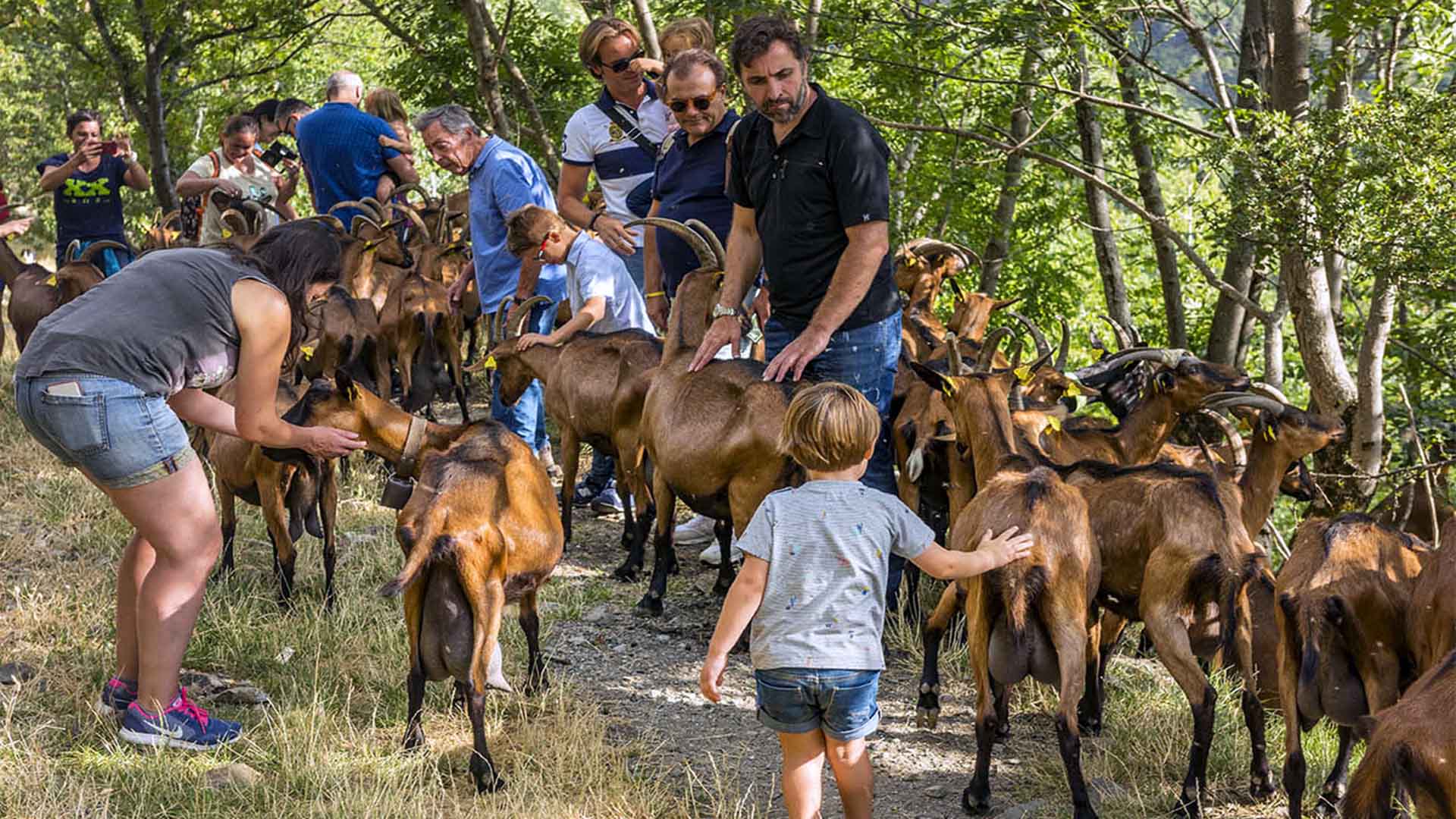 Fuente: Arxiu Patronat de Turisme de la Vall de Boí. Autor: Óscar Rodbag