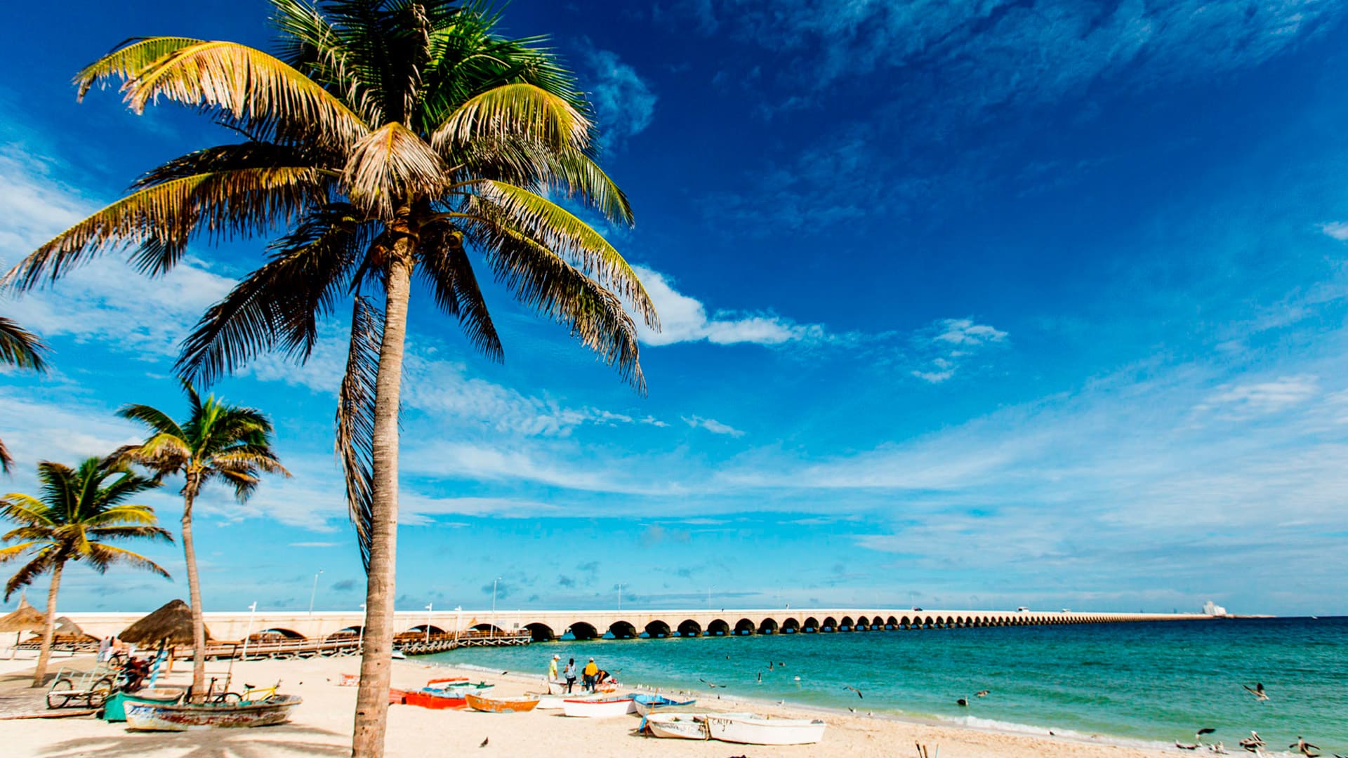 Verano en Yucatán: 5 playas que no puedes dejar de visitar