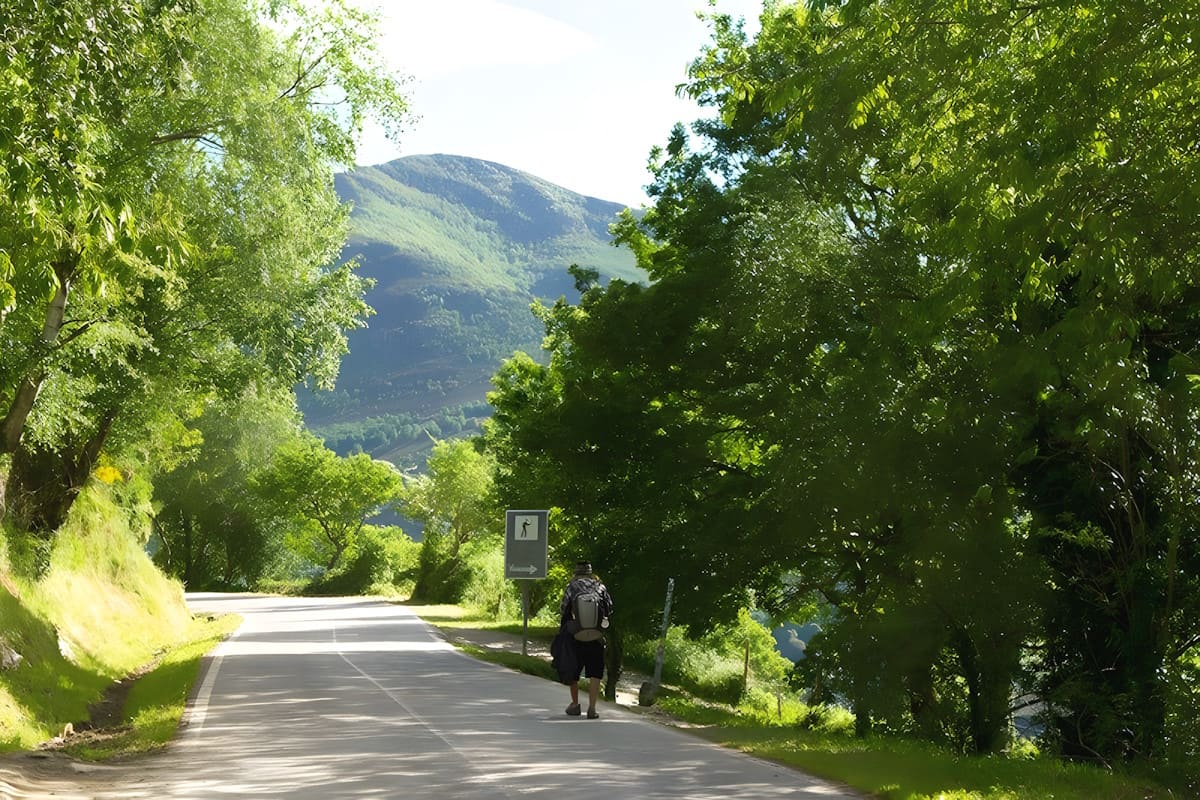 Un viaje sensorial por el Camino de Santiago Francés que nunca olvidarás