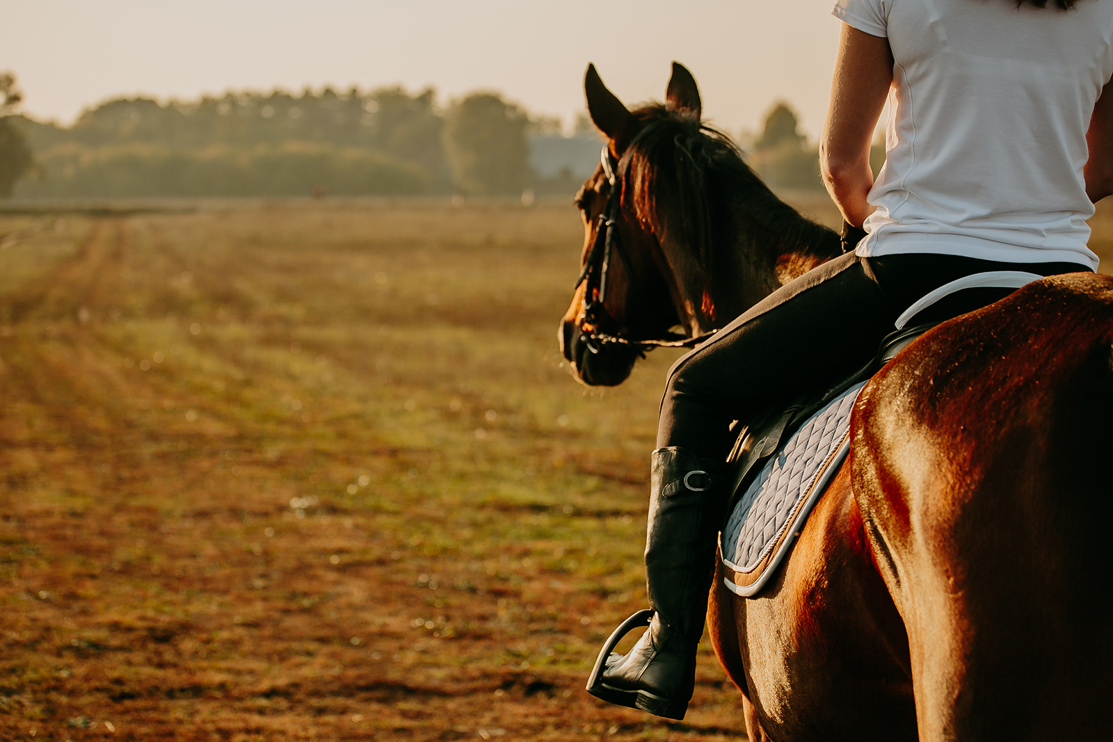 A caballo-Lleida