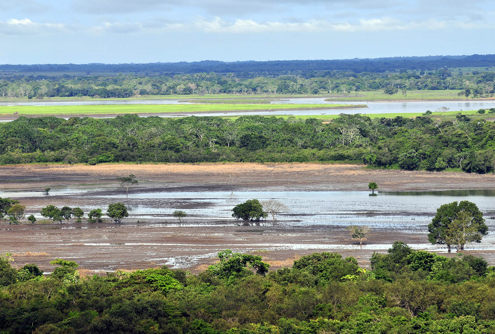 1-los-llanos-colombia-1-wikipedia.jpg 