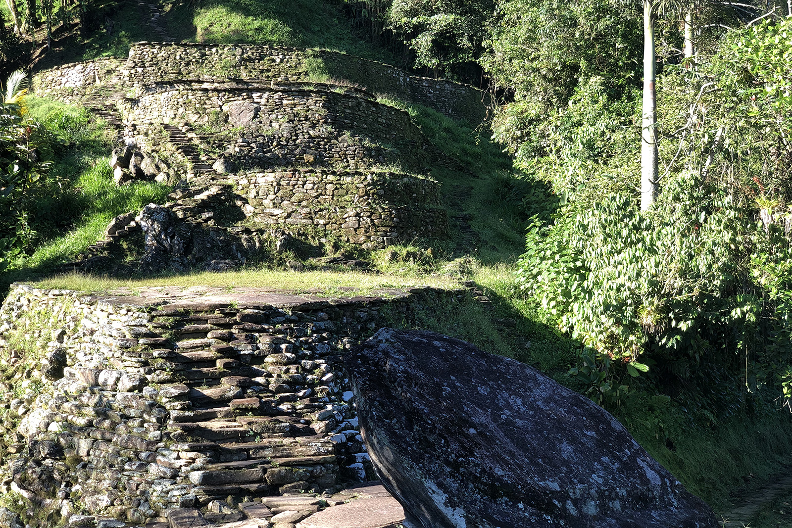 ingeniería Tayrona