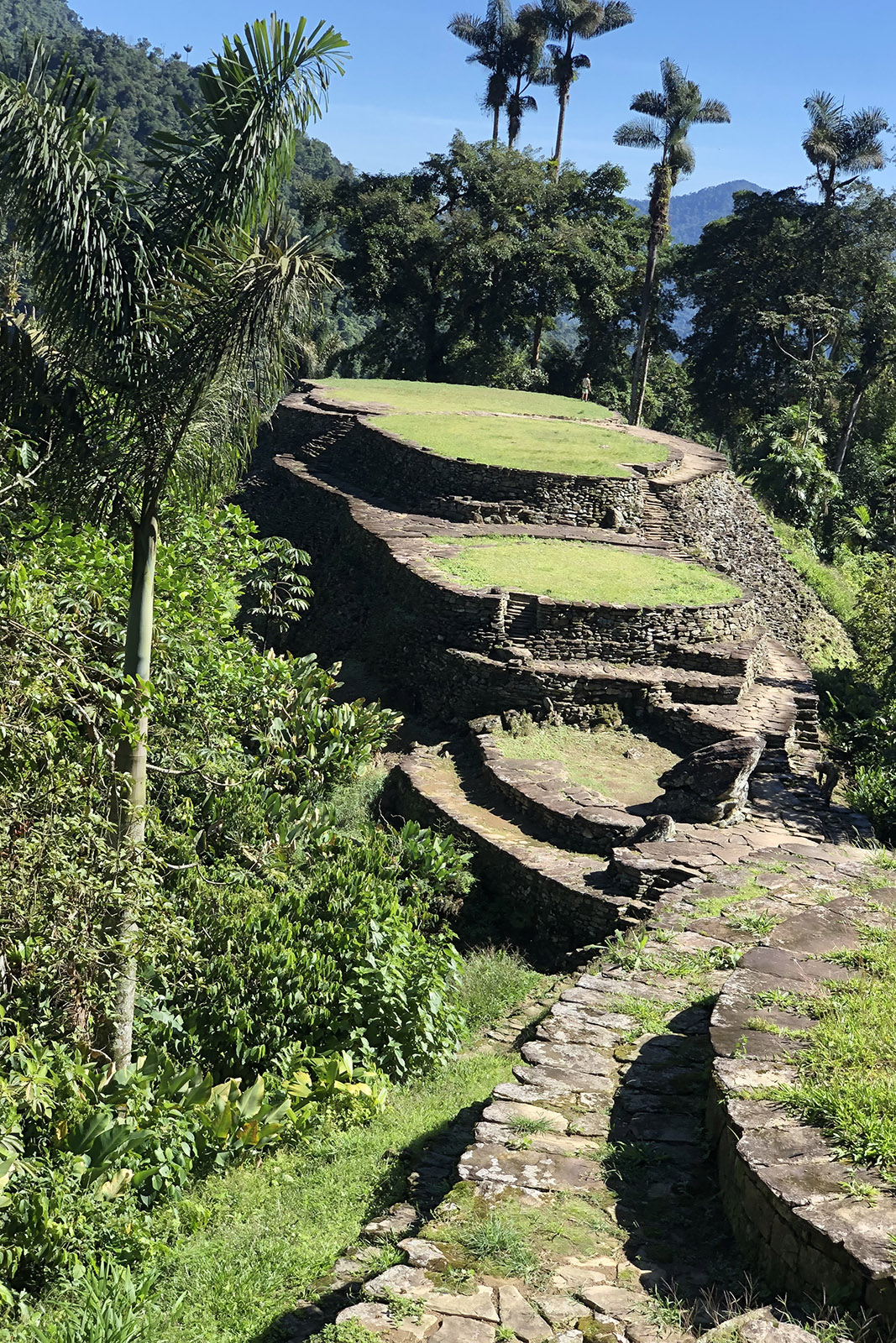 plataformas ciudad perdida