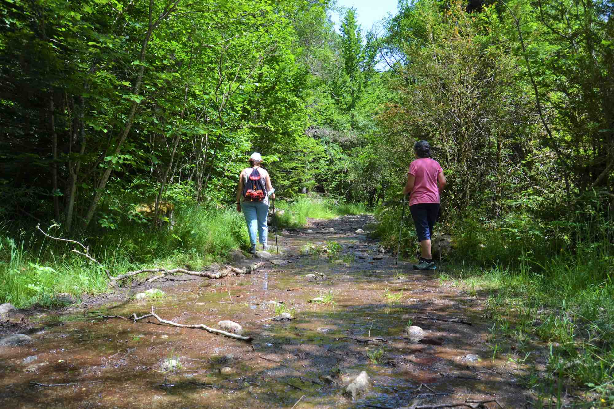 Camino del Agua