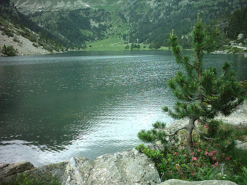 Estany llong