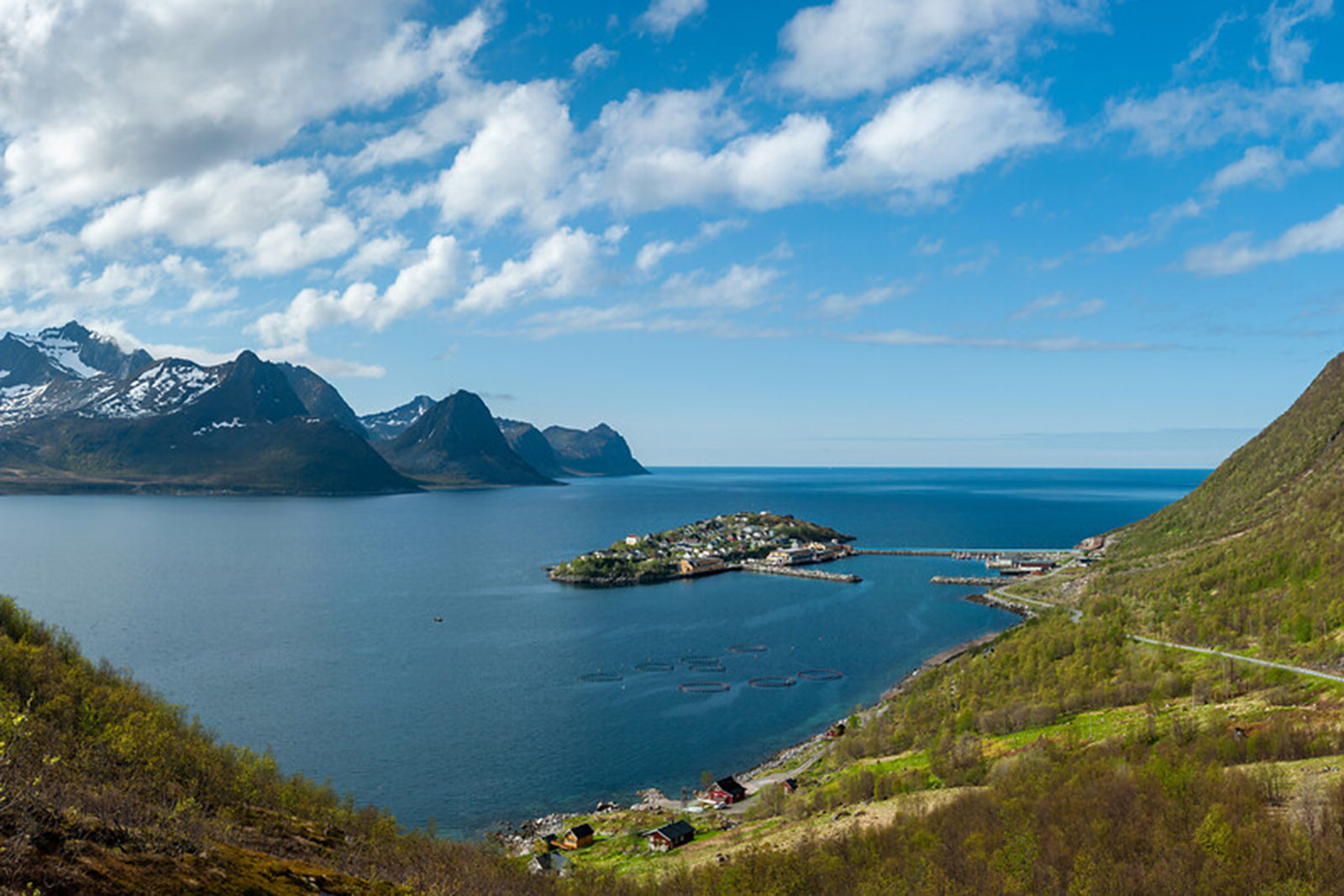 isladesenja_Noruega