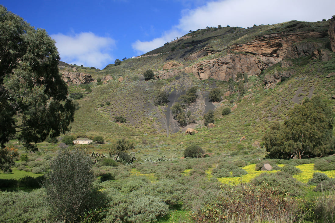 Gran Canaria 2024