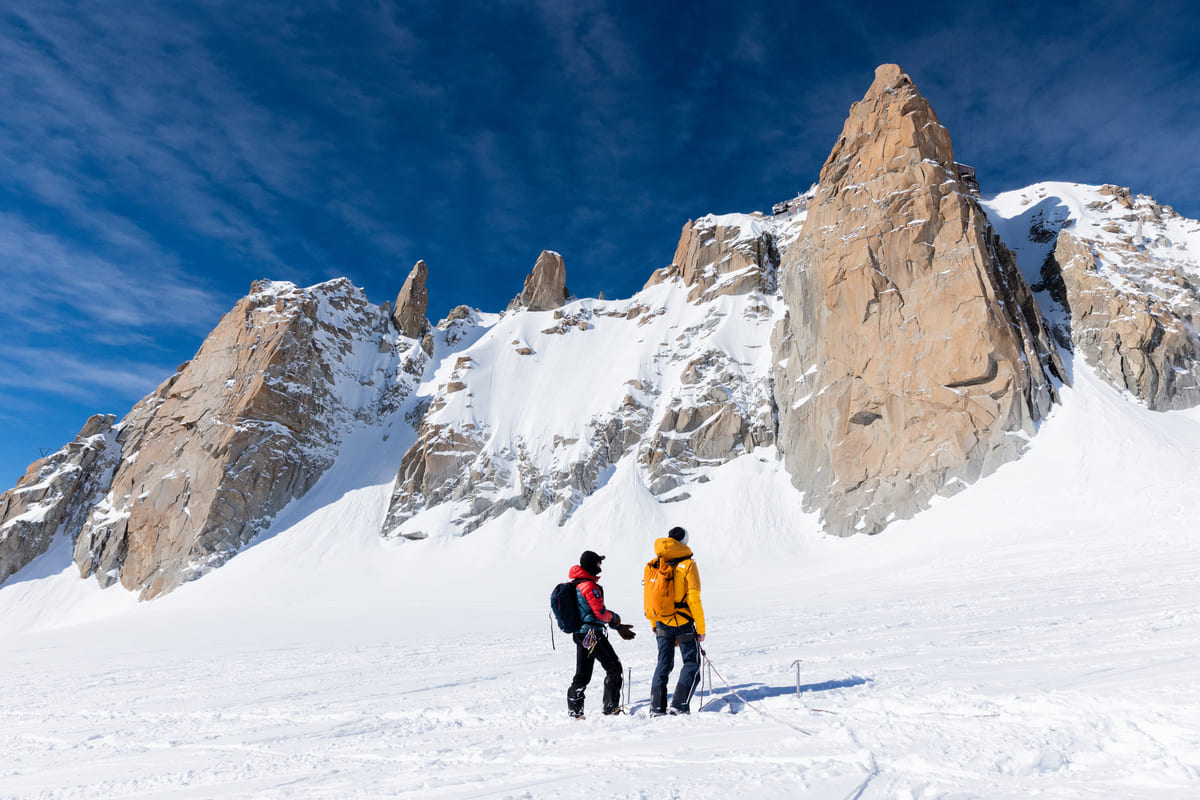 Chamonix mont Blanc - millet