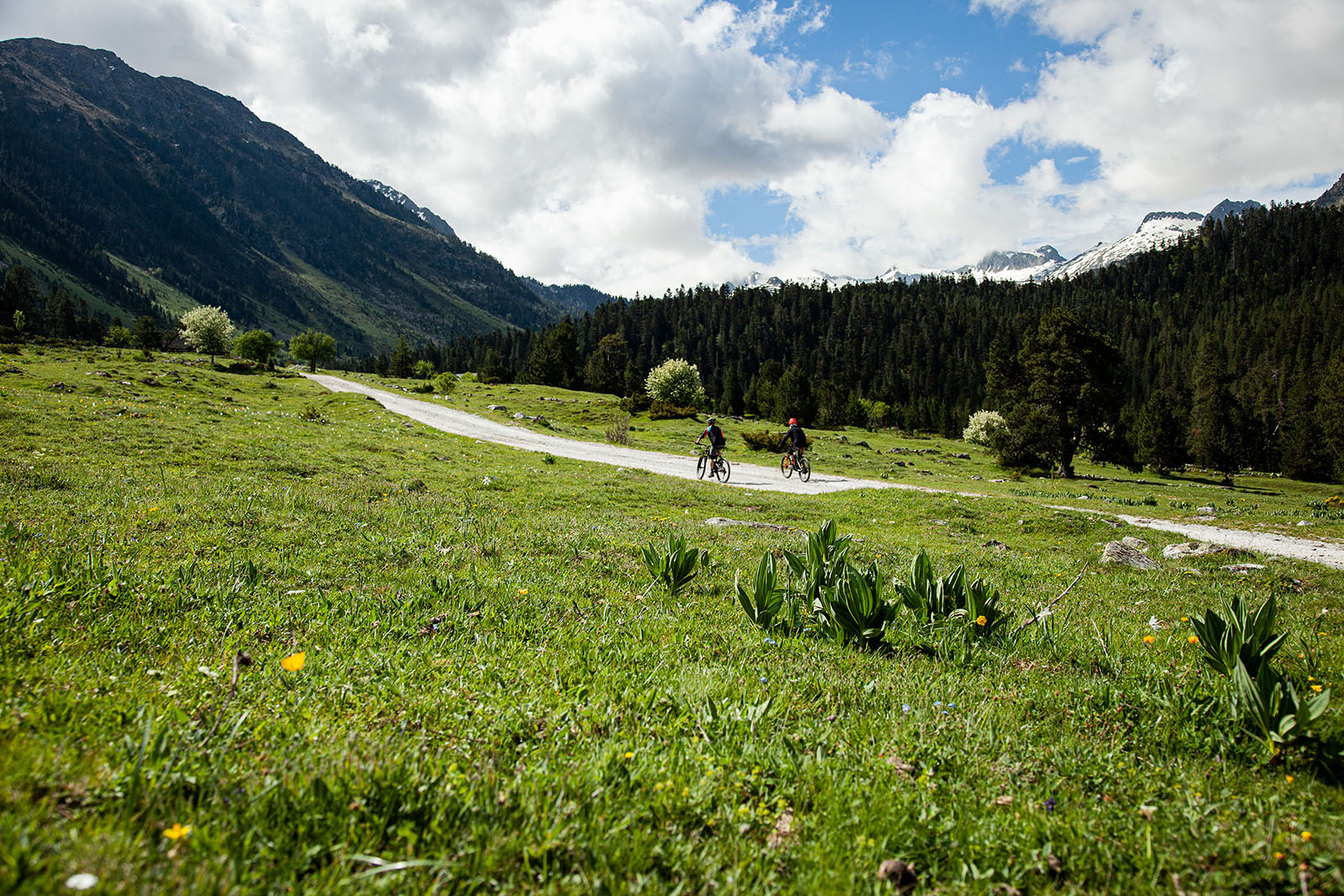 Marc y David carretera Banhs de Tredós y Parc Nacional d’Aigüestortes fondo. Fotografía: Júlia Miralles]