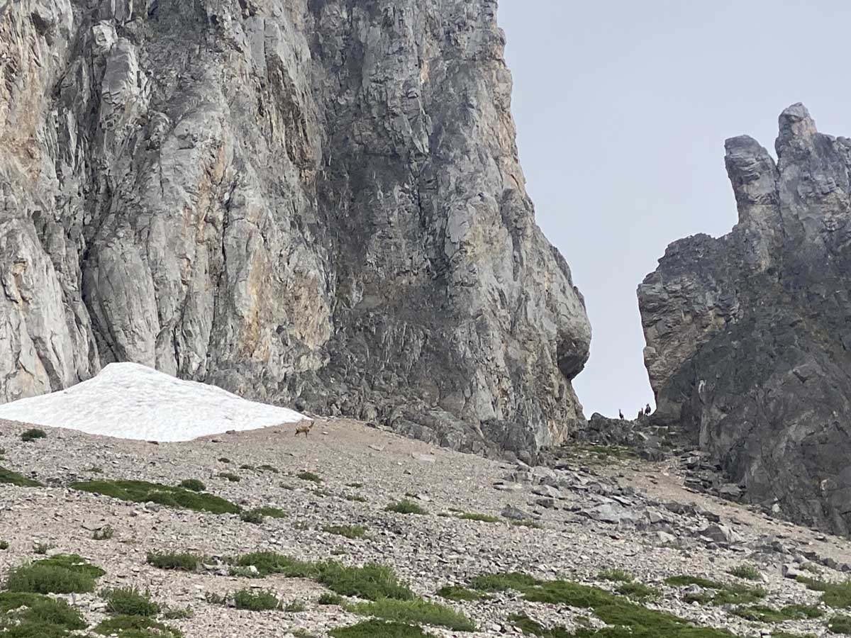 Picos de Europa Open Mountain Month