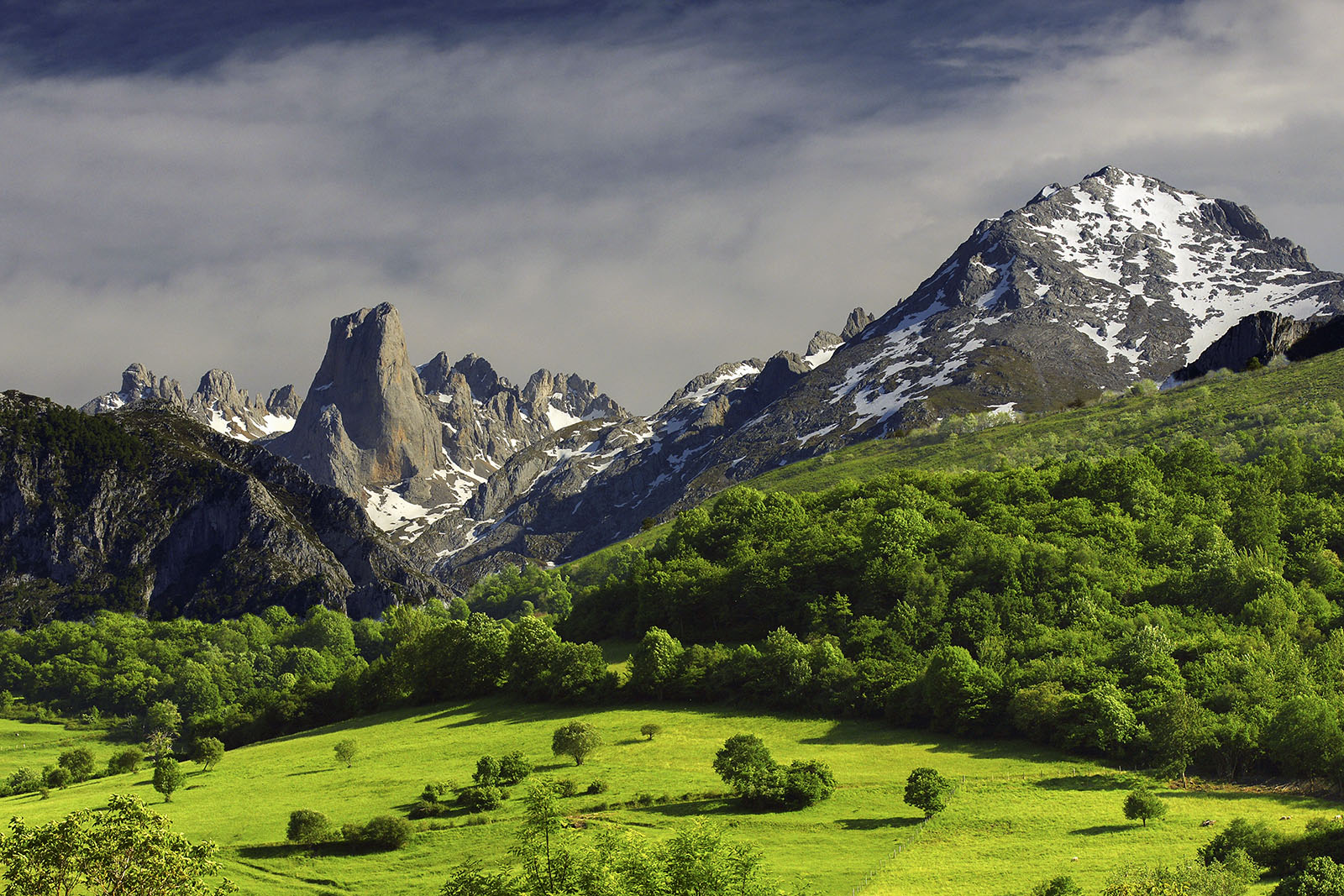 Picu-Urriellu-naranjo-de-bulnes-©- manuel-s- calvo.jpg 