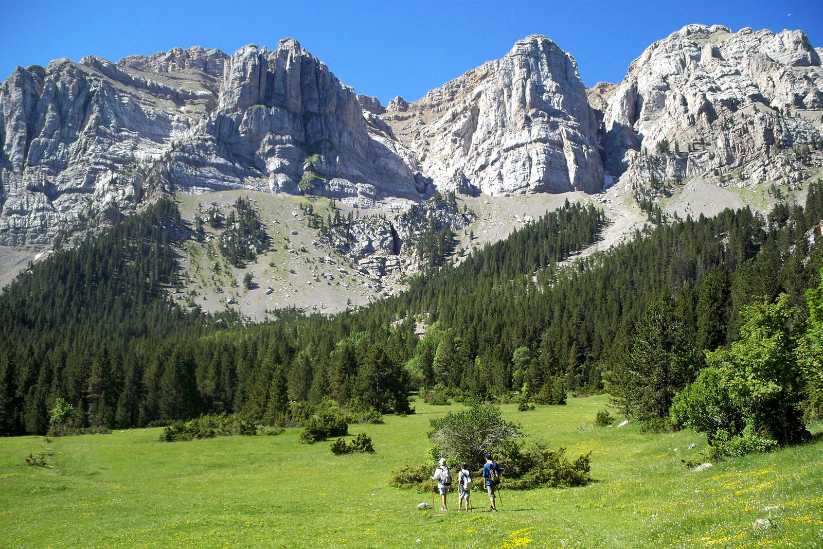 Prat-de-Cadi- Parc-Cadi- Moixero-fotografia-Nuria-costa Costa.jpg 