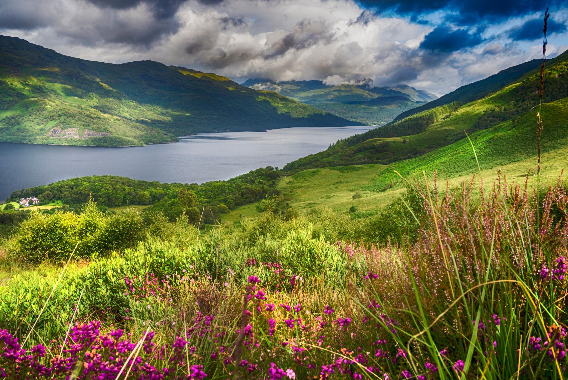 Vistas desde el monte Ben Lomond. Shutterstock