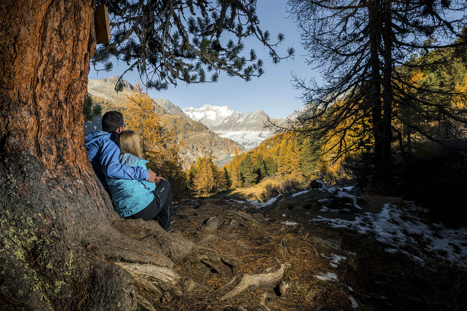 Wandern-im-Aletschwald-Herbst-Aletsch-Arena-56-Pfammatter.JPG 