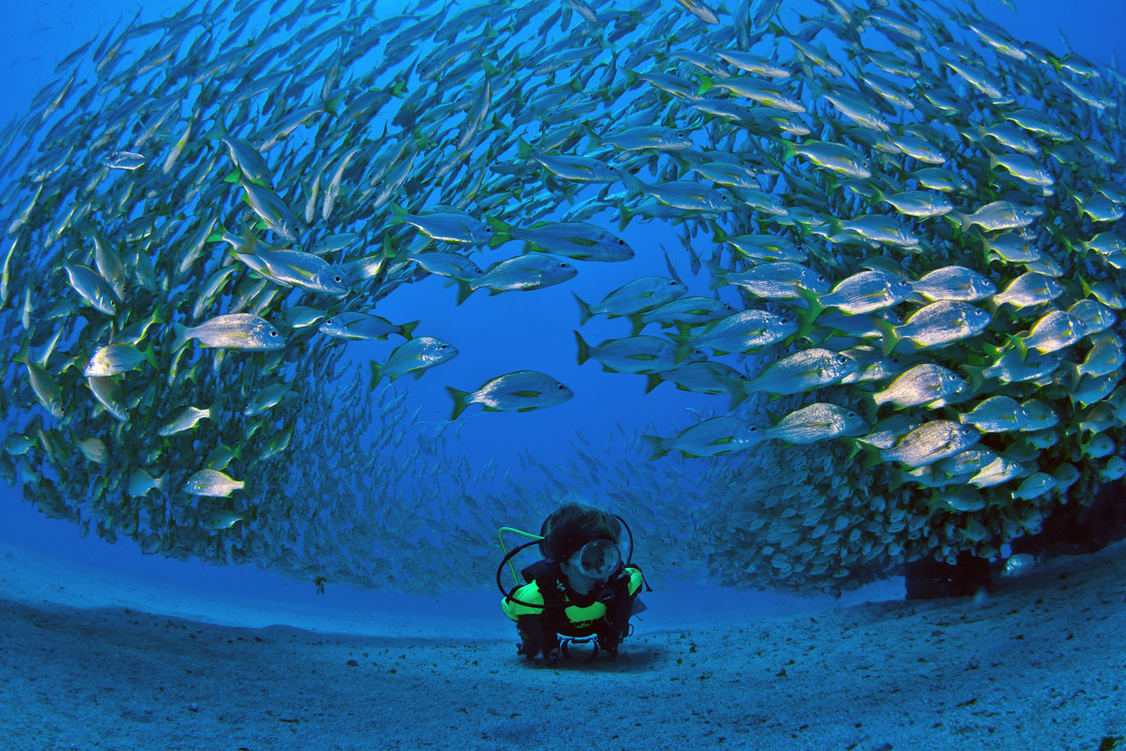 buceo-gran-canaria-lugares-de-aventura.jpg 