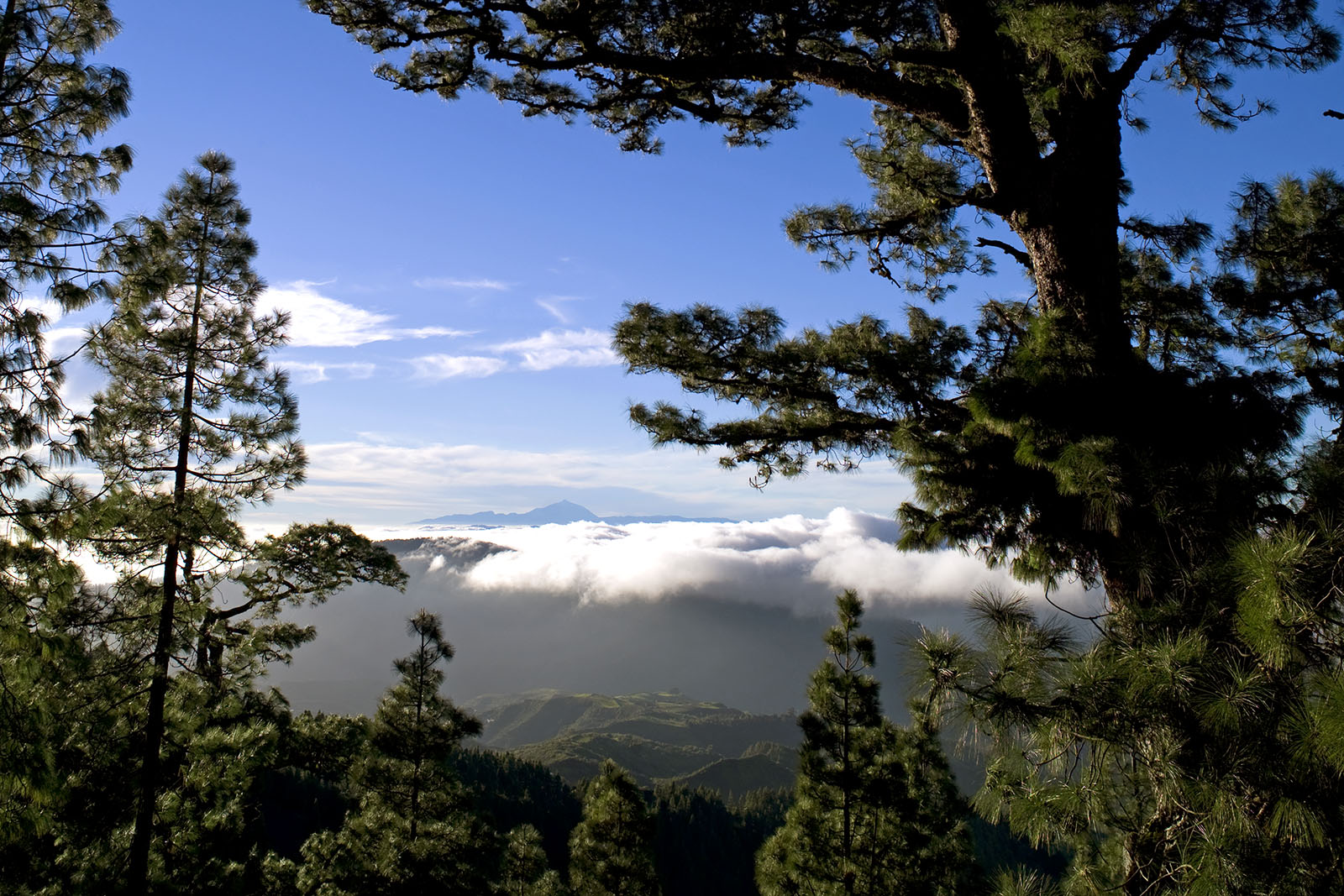 caldera-pinos-de-galdar-artenara-©-patronato-de-turismo-de-gran-canaria.jpg