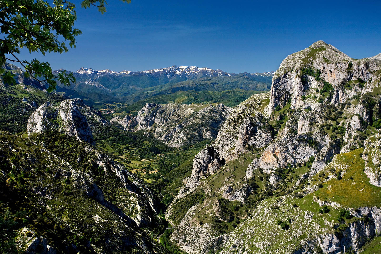 desfiladero-de-lahermida-turismo-cantabria.jpg 