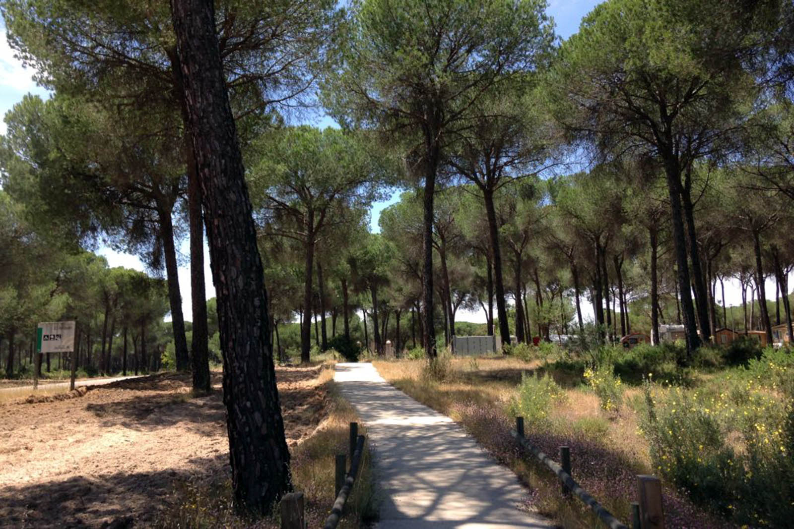 doñana-carril-cicloturista-el-arrayén.jpg 