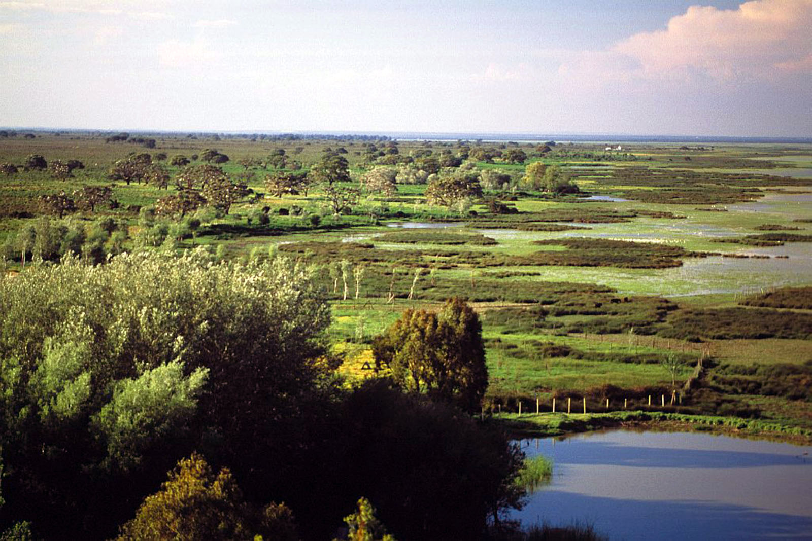 doñana-paisaje-marismeño-junta-de-andalucía.jpg 