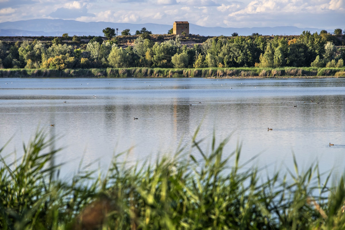 Estany de ivars