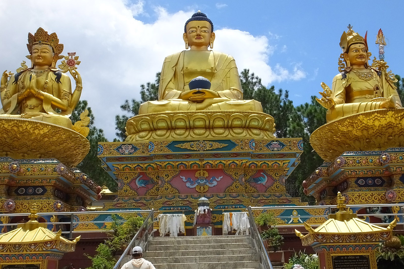 foto...-reportaje-voluntarios-al-rescate-de-macacos-en-nepal-Swayambhunath .jpg