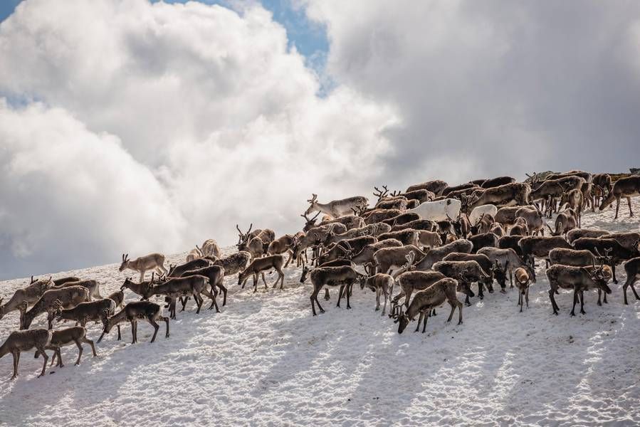 fotografía-Visit-Sweden-autora-Helena Wahlman-lugaresdeaventura.jpg 