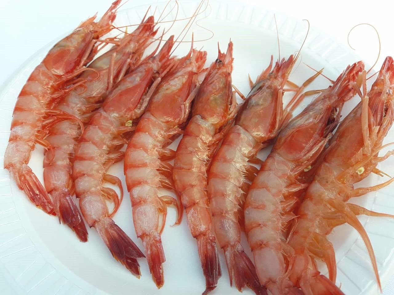 Gamba de Ibiza