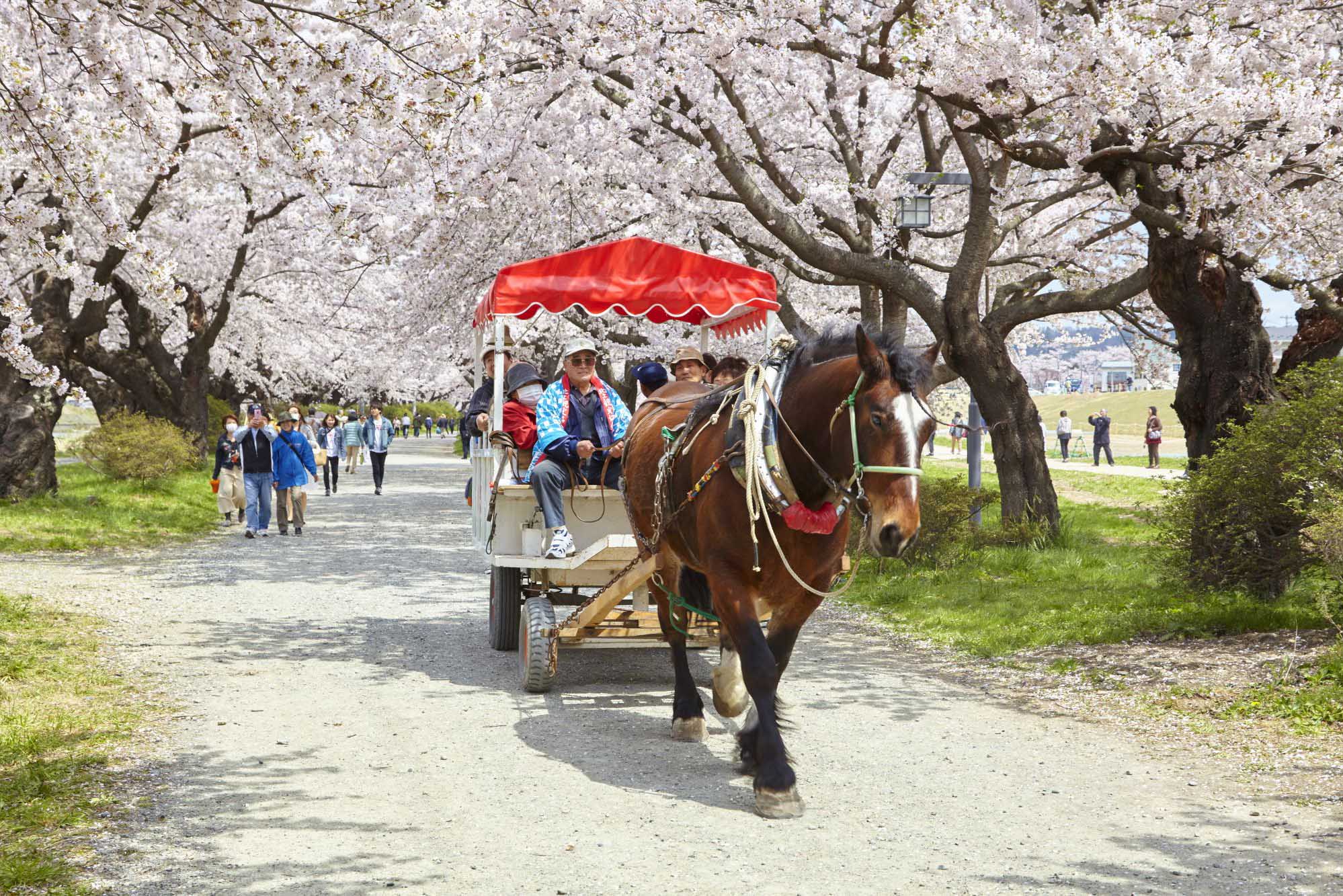 Iwate. Copyright: JNTO