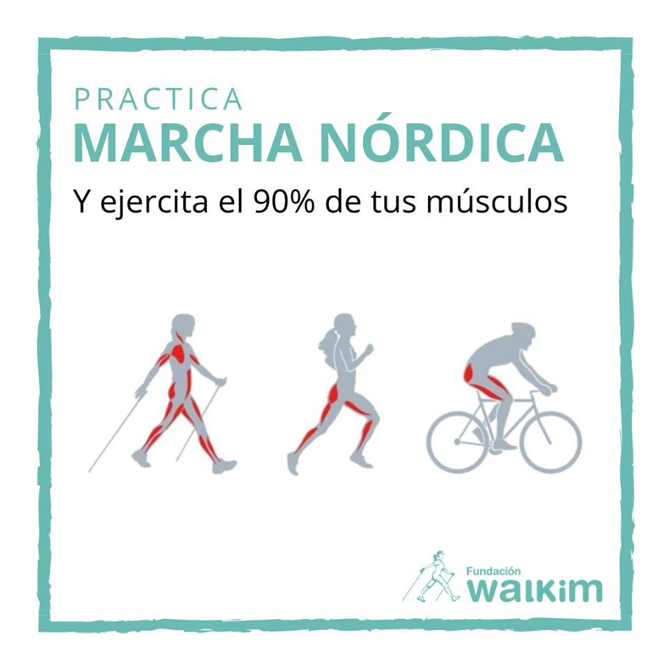 Musculos en la marcha nordica