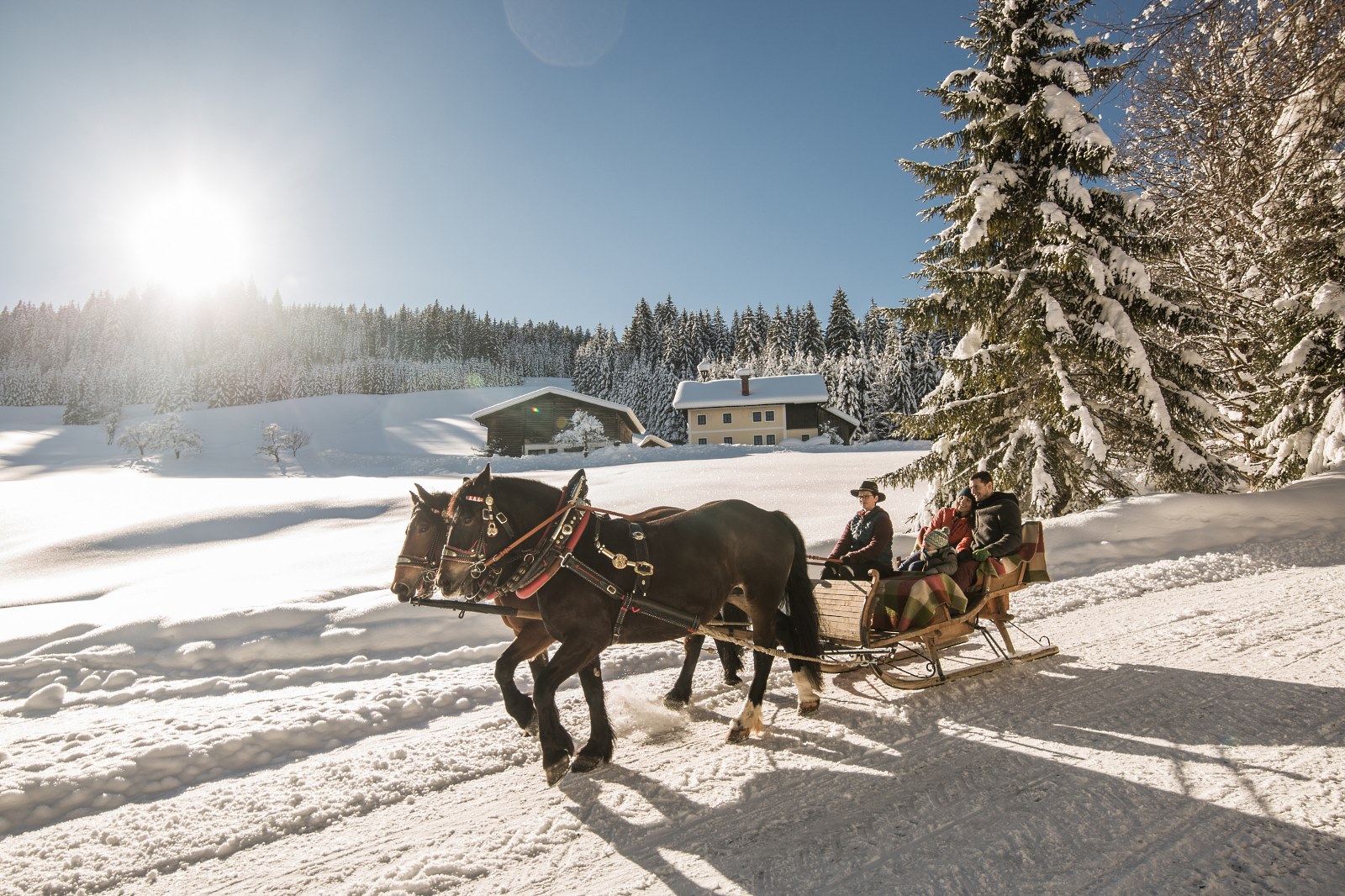 Turismo en región Salzburg