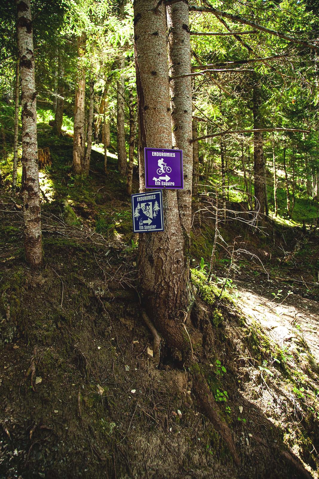 Señalización en “Enduromies”. Val d'Aran. Fotografía: Júlia Miralles