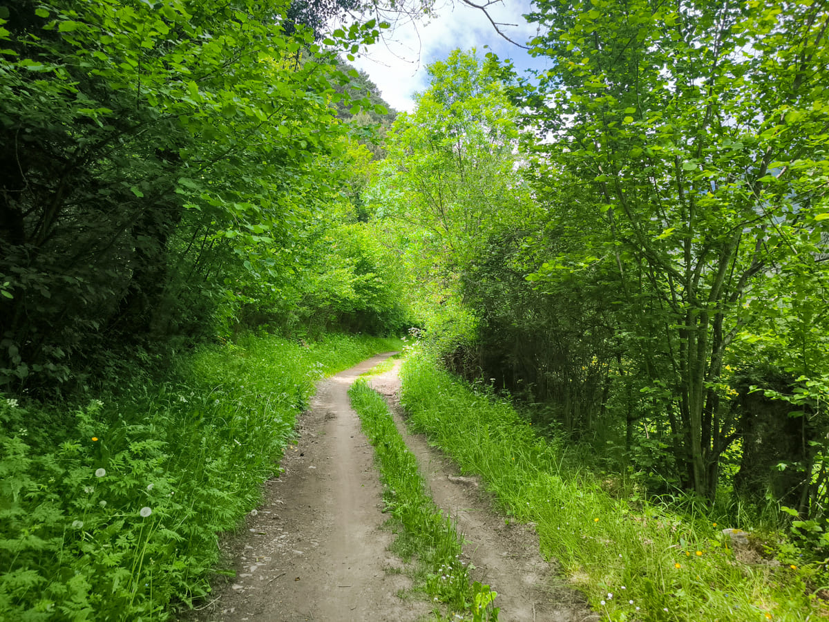 Pedaleando en la Val d'Aran