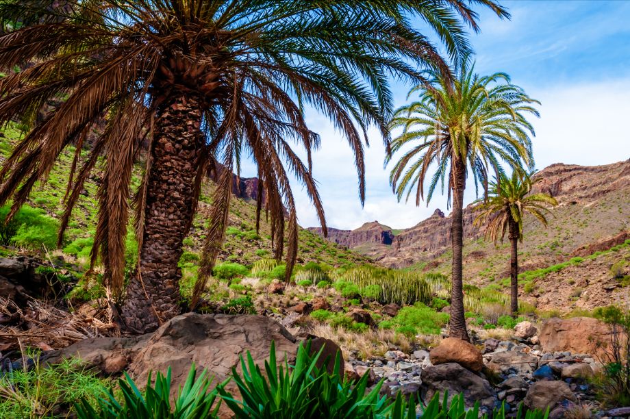 san-bartolomé-de-tirajana-barranco-de-las-palmas-fotografia-turismo-gran-canaria-lugares-de-aventura.jpg