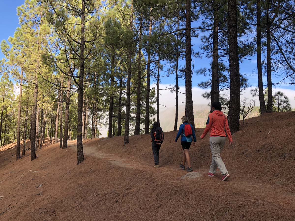 senderismo-gran-canaria-roque-nublo-circular-foto-ivan-sanz-5