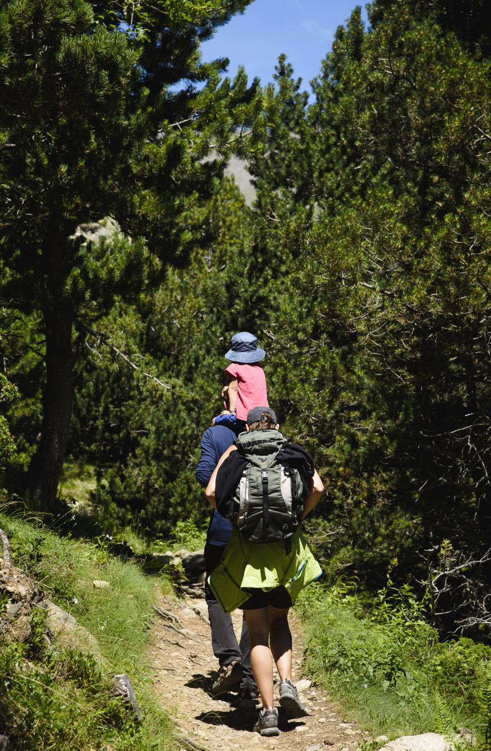 bosques-senderos-nuria