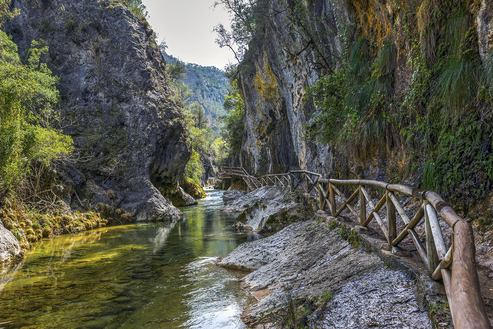 sierra-de-cazorla-sendero-junto-al-río-borosa