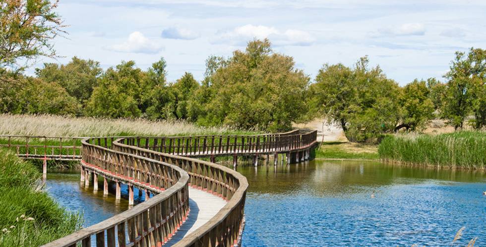 tablas de daimiel-turismo castilla la mancha.jpg 