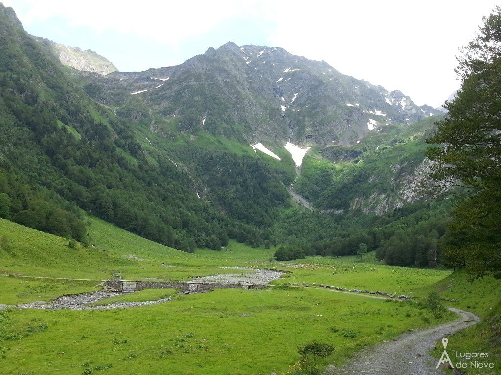 Era Artiga de Lin. El Prado donde el camino atraviesa el Arriu Joeu (Barranc des Puis) y pasto de ganado