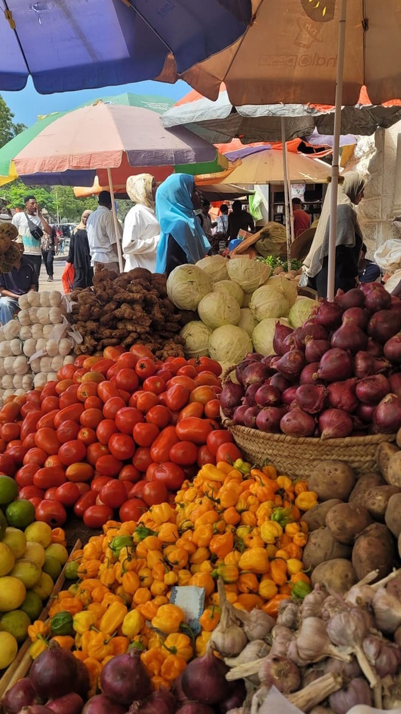 Mercado en Stone Town-Lali Ortega Cerón