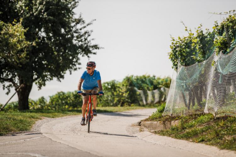 Suiza-ciclismo-verano