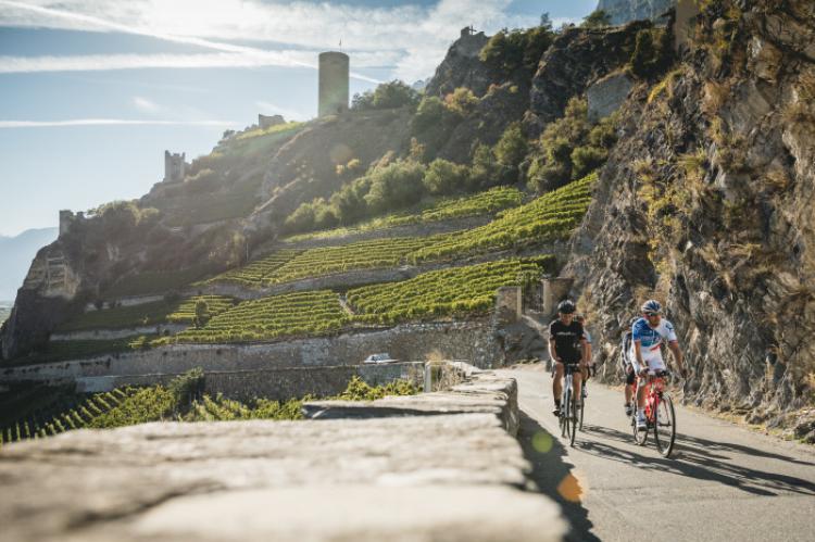 Suiza-ciclismo-verano