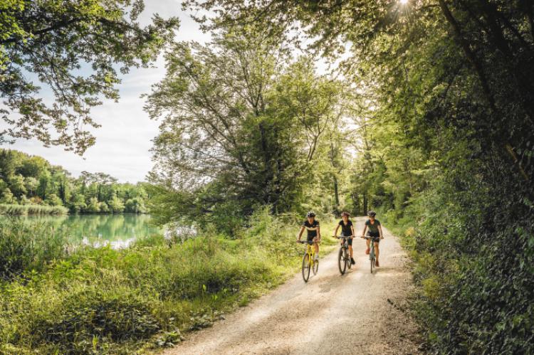 Suiza-ciclismo-verano