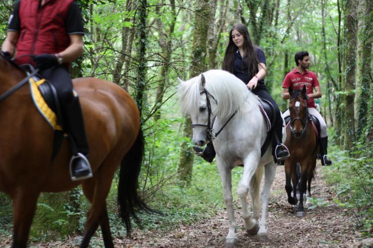 A caballo en Galicia