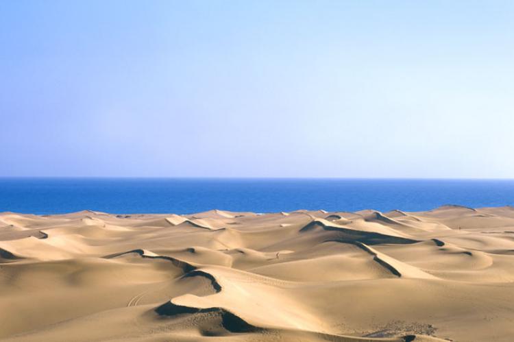 Dunas del Sur de Gran Canarias