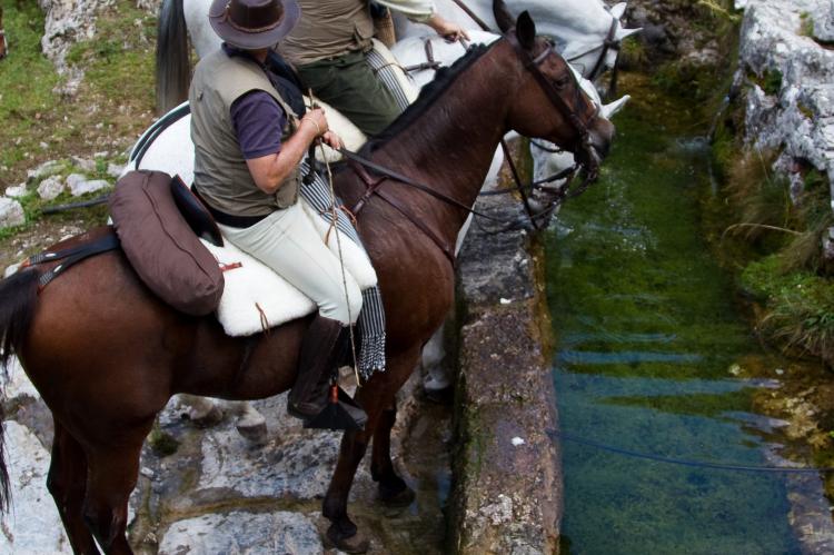 Picos de Europa a caballo