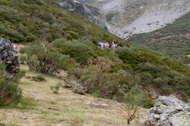 Picos de Europa a caballo