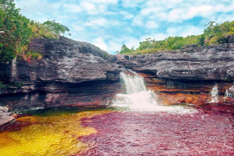 Caño Cristales. Los Llanos. Colombia. Fotografía: VisitColombia.